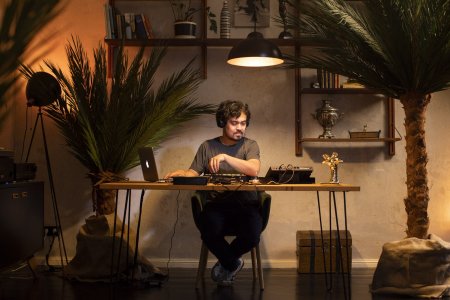 Preview: Palm Areca 3,5m